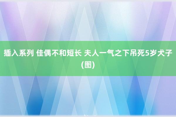 插入系列 佳偶不和短长 夫人一气之下吊死5岁犬子(图)