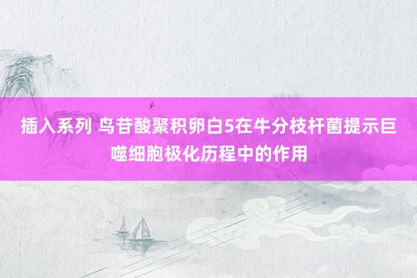 插入系列 鸟苷酸聚积卵白5在牛分枝杆菌提示巨噬细胞极化历程中的作用