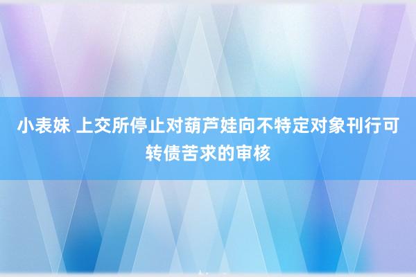 小表妹 上交所停止对葫芦娃向不特定对象刊行可转债苦求的审核
