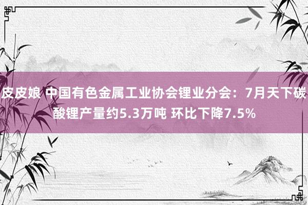 皮皮娘 中国有色金属工业协会锂业分会：7月天下碳酸锂产量约5.3万吨 环比下降7.5%