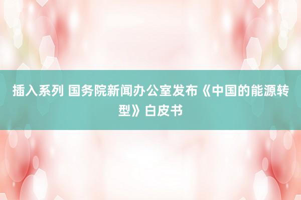 插入系列 国务院新闻办公室发布《中国的能源转型》白皮书