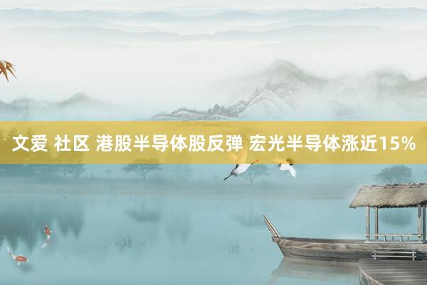 文爱 社区 港股半导体股反弹 宏光半导体涨近15%