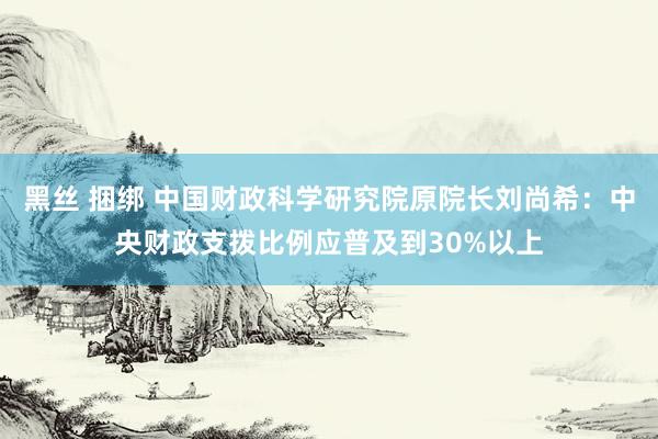 黑丝 捆绑 中国财政科学研究院原院长刘尚希：中央财政支拨比例应普及到30%以上