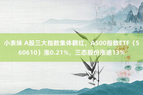 小表妹 A股三大指数集体翻红，A500指数ETF（560610）涨0.21%，三态股份涨逾13%
