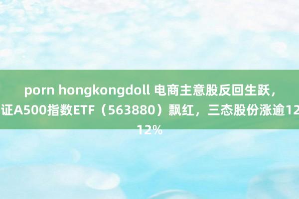 porn hongkongdoll 电商主意股反回生跃，中证A500指数ETF（563880）飘红，三态股份涨逾12%