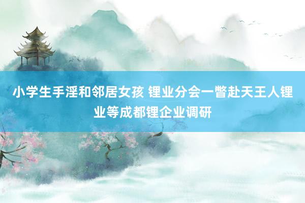 小学生手淫和邻居女孩 锂业分会一瞥赴天王人锂业等成都锂企业调研