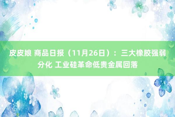 皮皮娘 商品日报（11月26日）：三大橡胶强弱分化 工业硅革命低贵金属回落