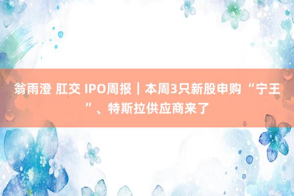 翁雨澄 肛交 IPO周报｜本周3只新股申购 “宁王”、特斯拉供应商来了